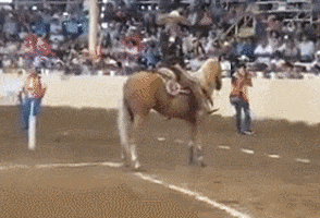200.gif
