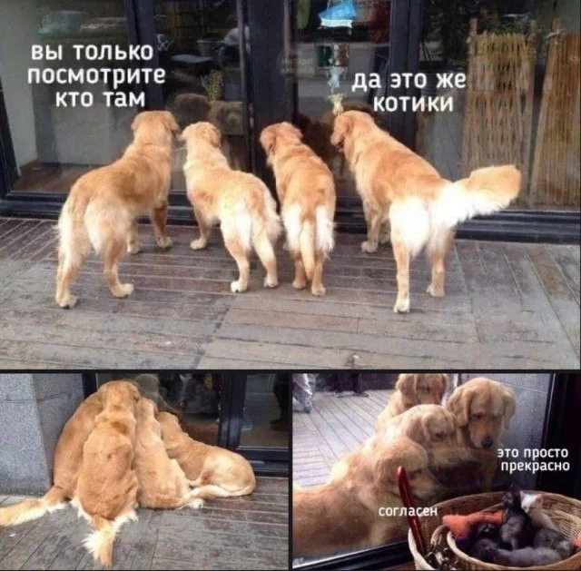 200115800861-155823.webp