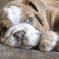200_s.gif