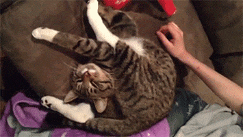 200_s.gif
