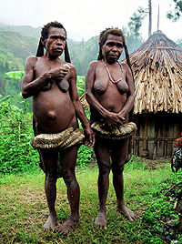 200px-PapuaBarat5.jpg
