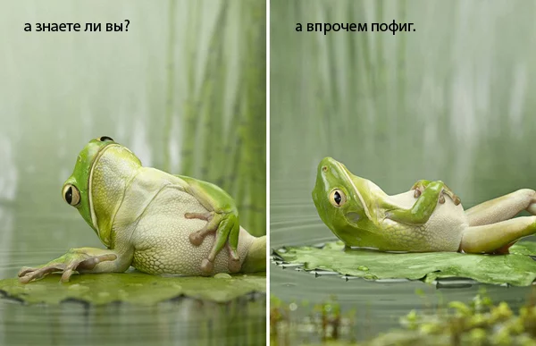 2010_12_21_19_14_439157_1.webp