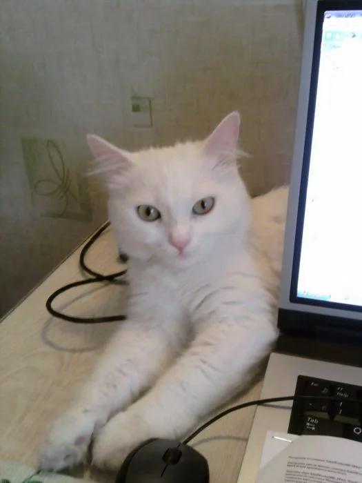 20110108085939.webp
