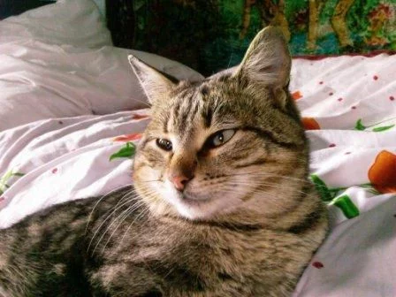 20110220083550.webp