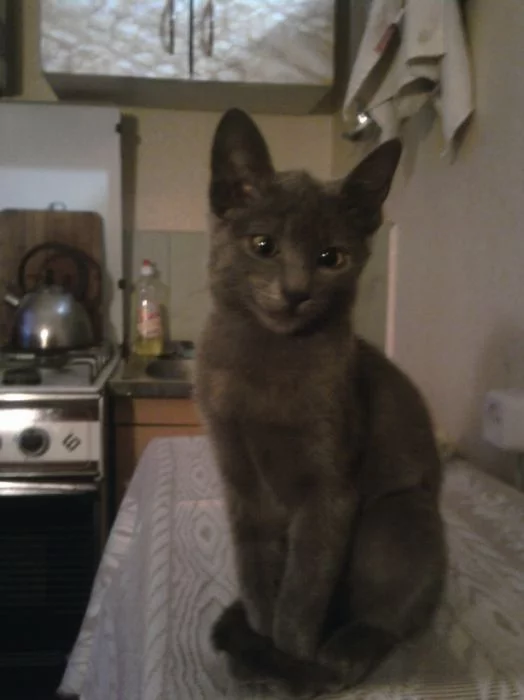 20110322090436.webp