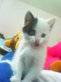 20120328014451.webp