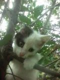 20120328014542.webp
