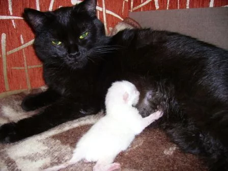 20120509015405.webp