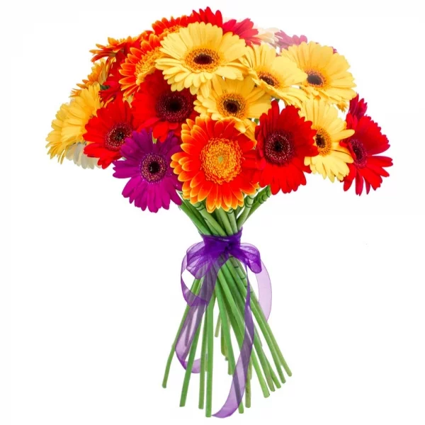2015-11-13-flora-opt-2.webp