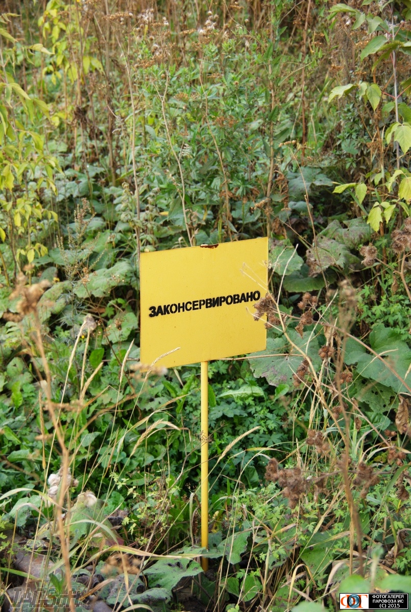 20150808_528414.jpg