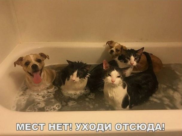 2018-01-31-1517403898.jpg