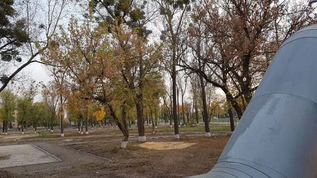 20181020-165838.webp