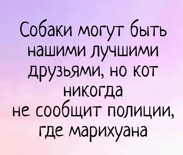 2019-01-15-1547554518.webp