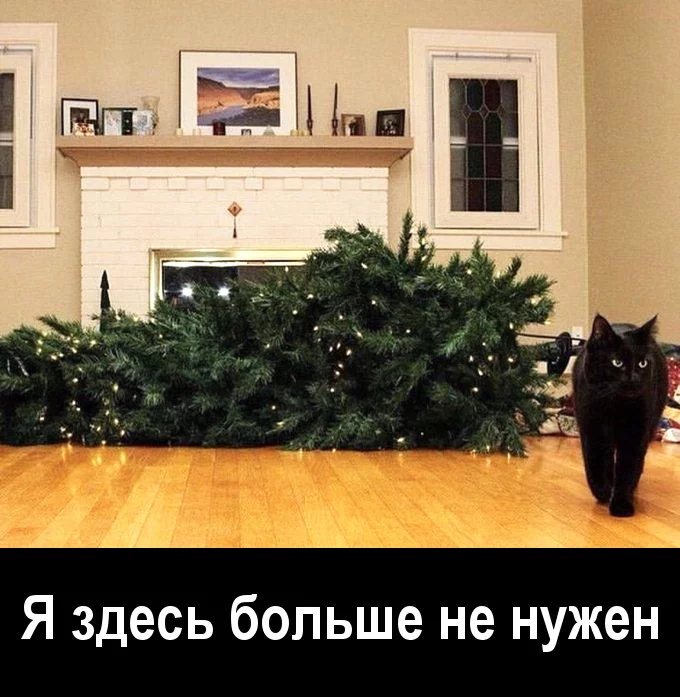 2019-12-28-1577527544.webp
