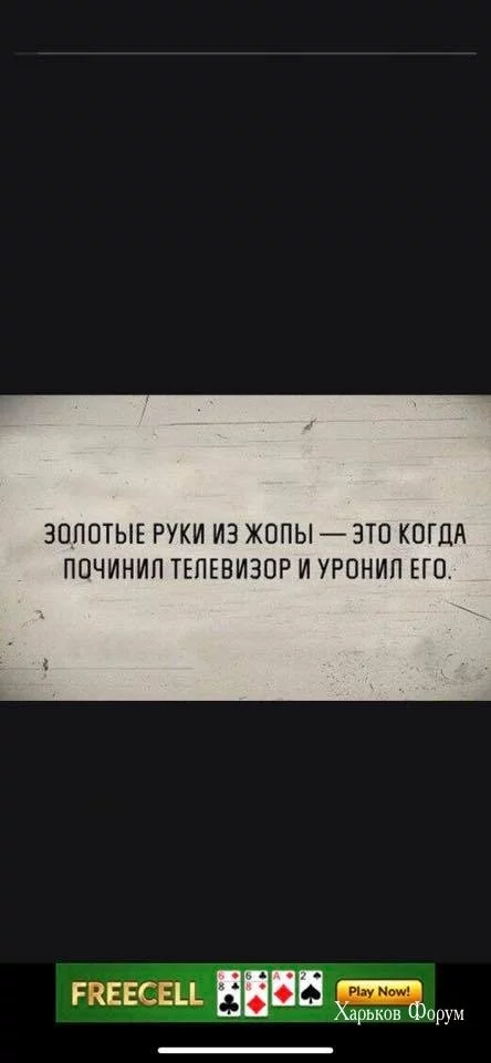 201b5c12c2bff272e.webp