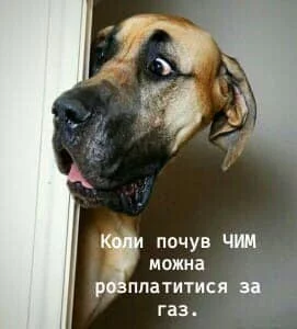 20200203120849-2811.webp