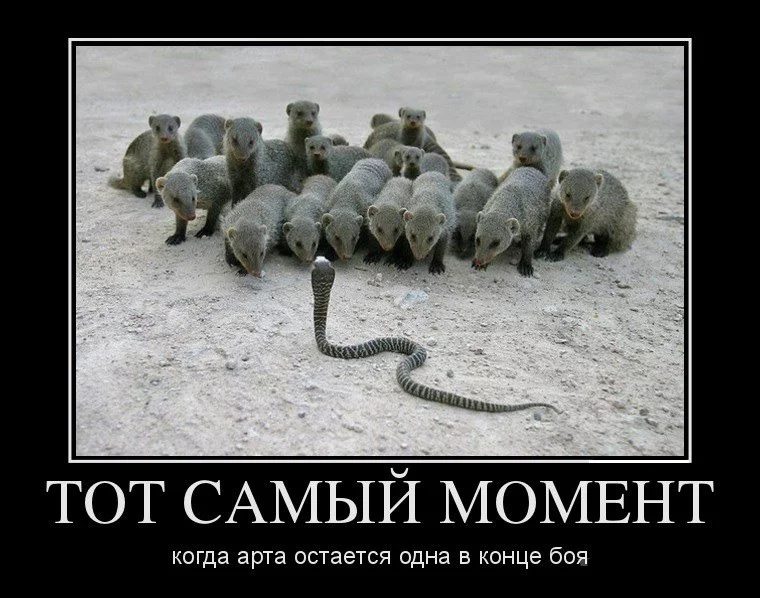 20203542.webp