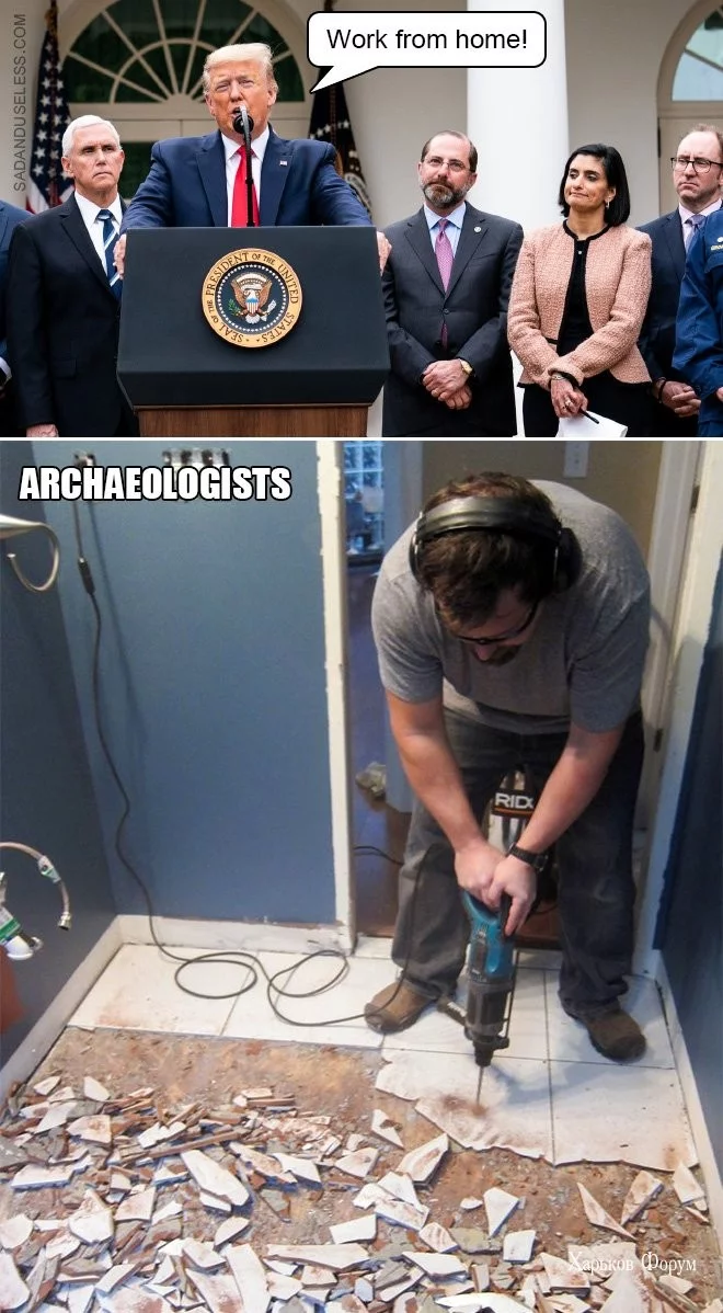20208683afdfa96ecd58.webp