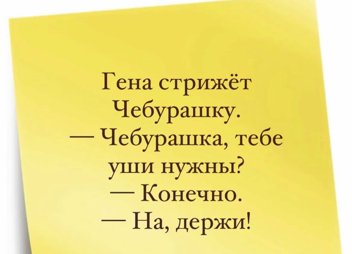 2022-02-08-mixnews-img-6307.webp