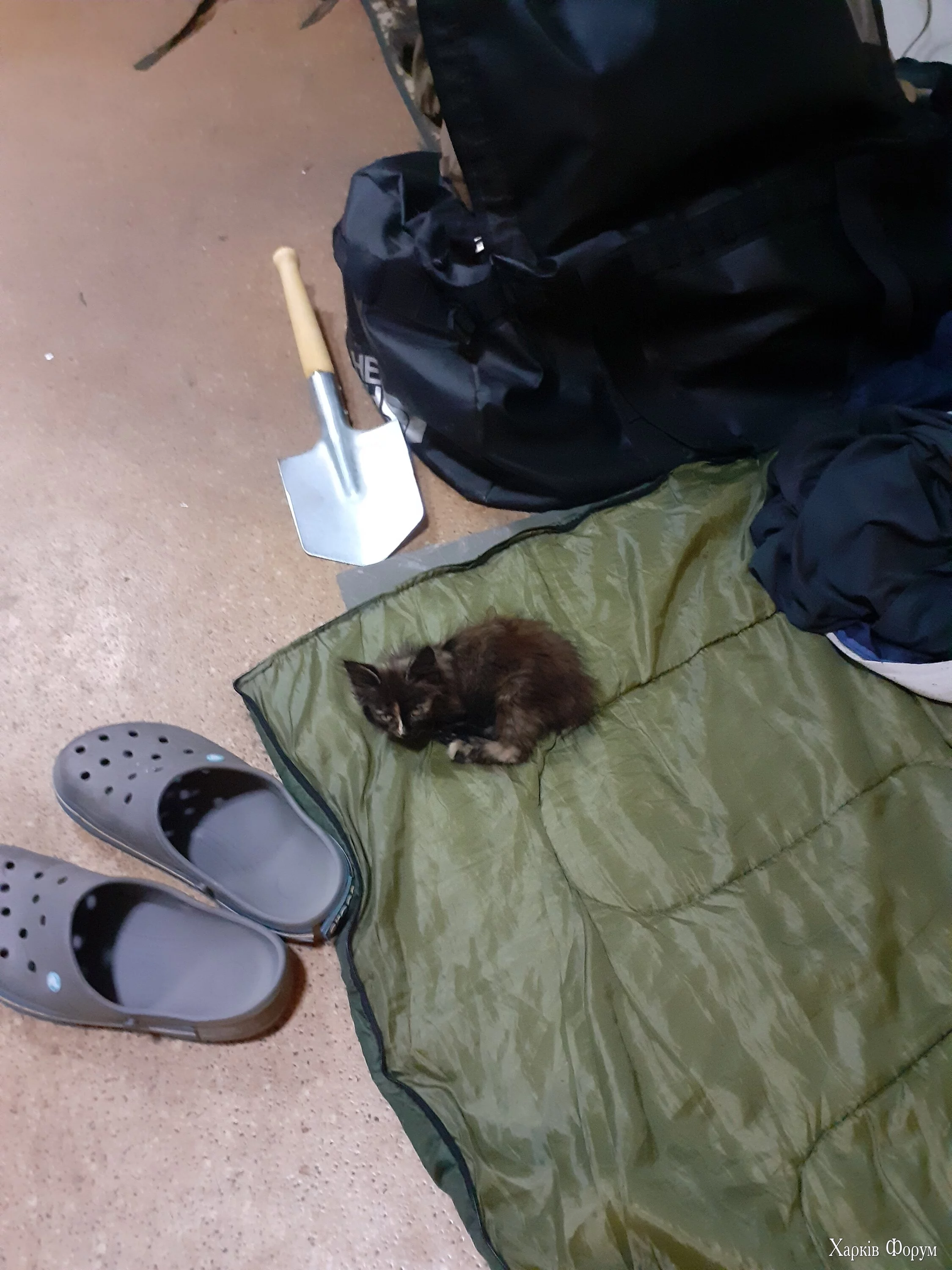 20220726_102536.webp