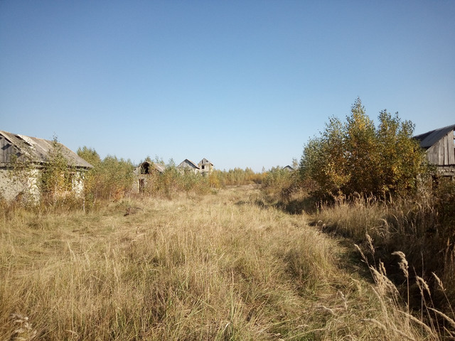 20221015-211939.jpg