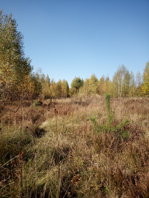 20221015-211943.jpg