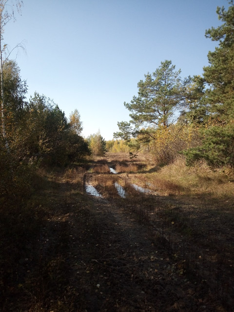 20221015-211947.jpg
