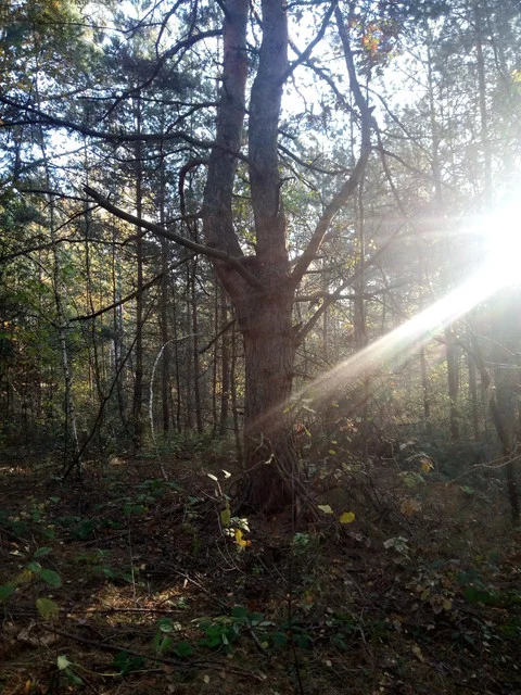 20221015-211952.webp