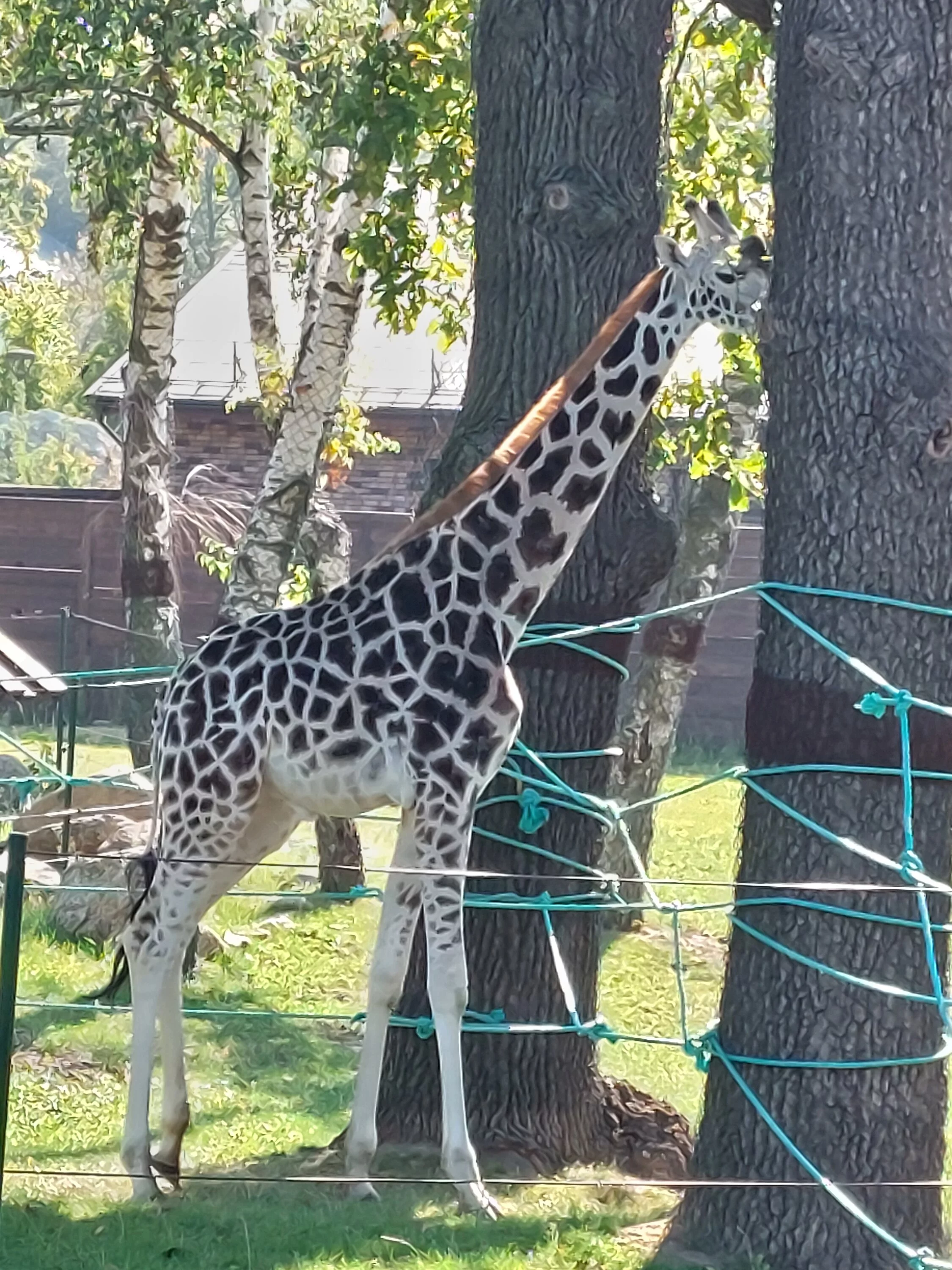 20230917_101504.webp