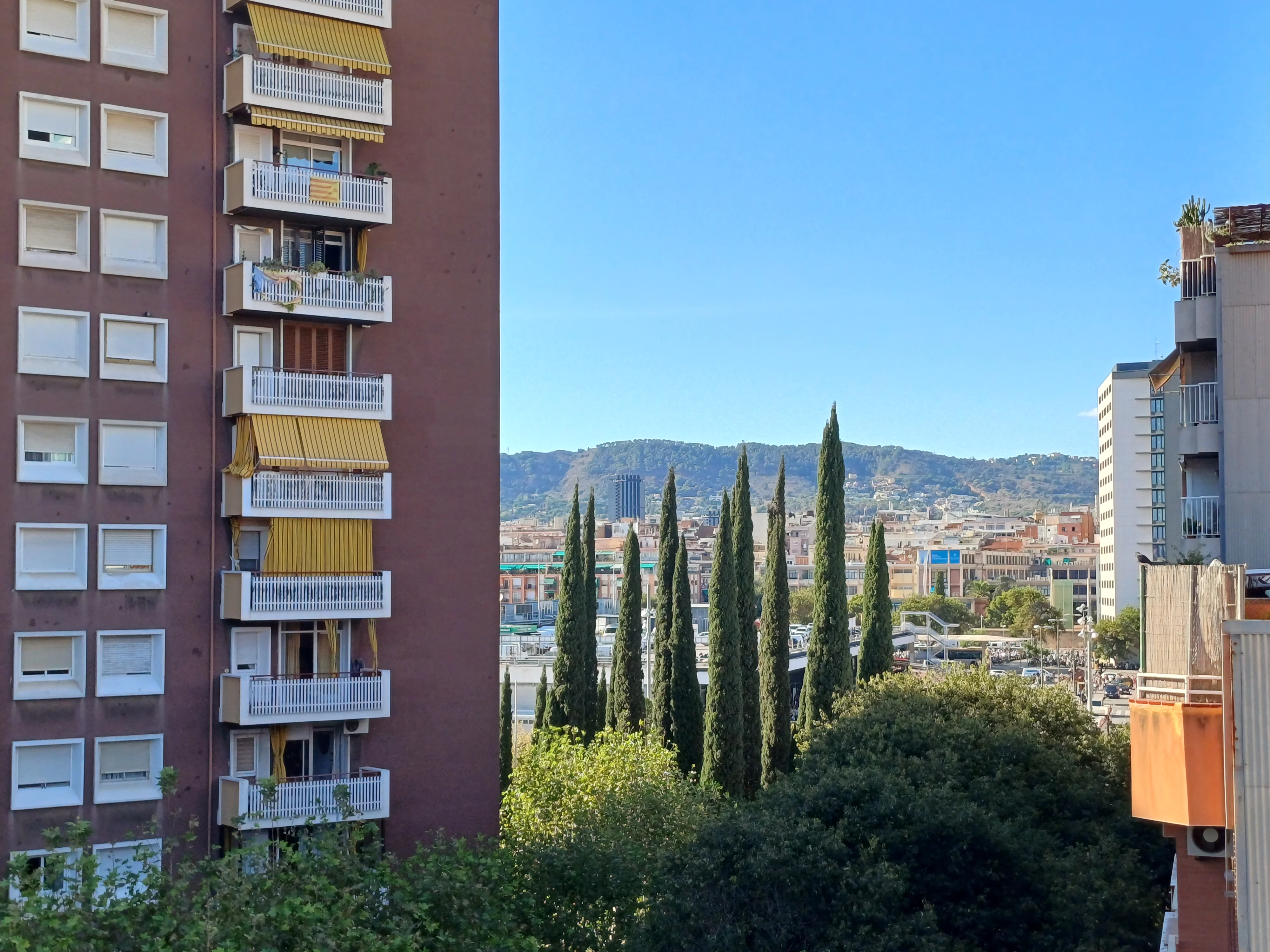 20230922_170018.jpg