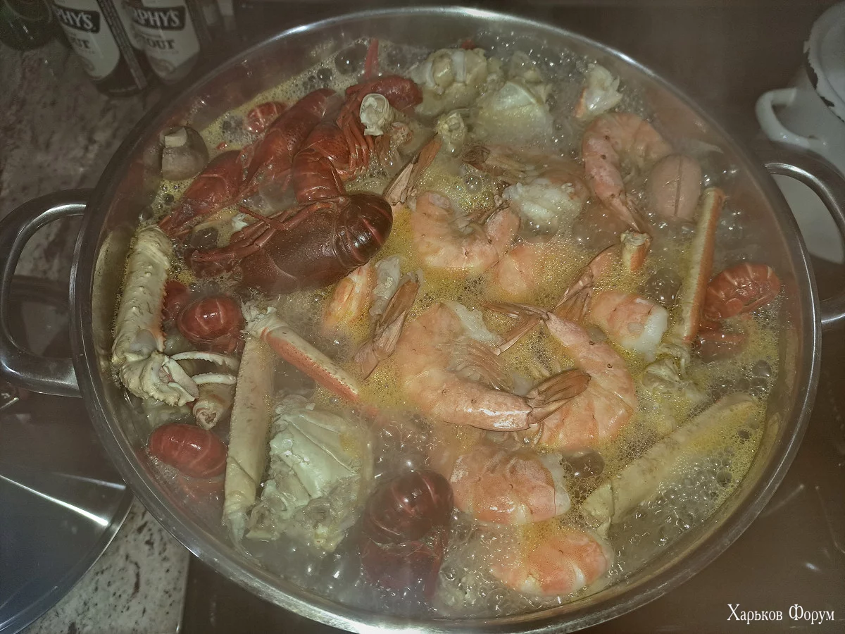 20231020_193434.webp