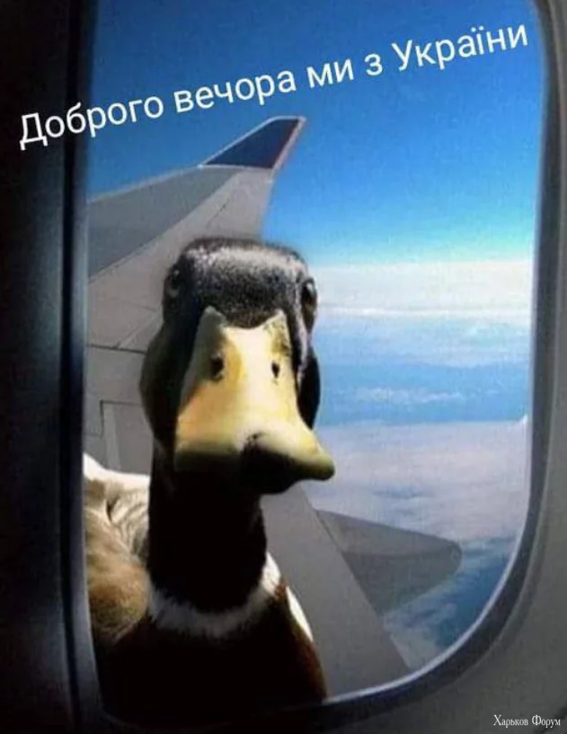 2024-03-12_132706.png