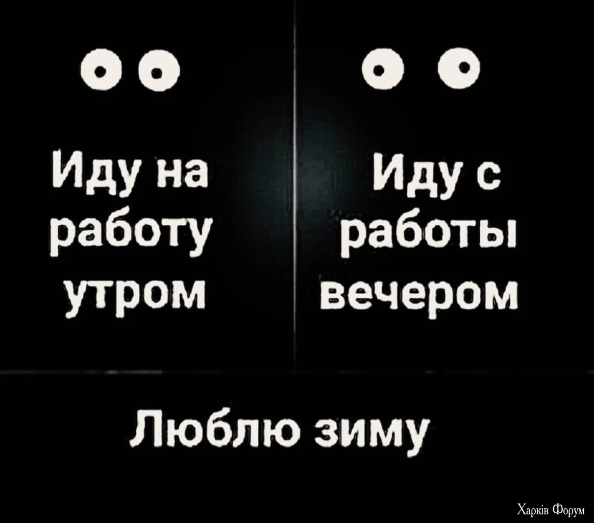 2024-12-08-mixnews-img_2683-1164x1024.webp