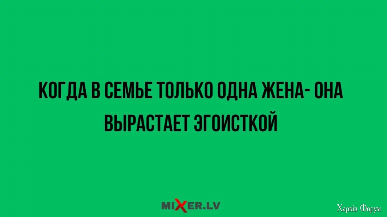 2024-12-24-mixnews-research-proposal-business-presentation-in-dark-green-orange-geometric-sty...webp