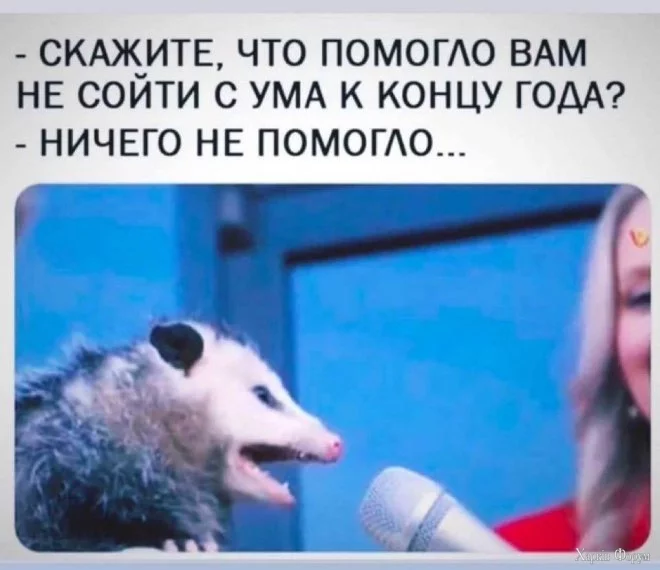 2024-12-26-mixnews-14-2.webp