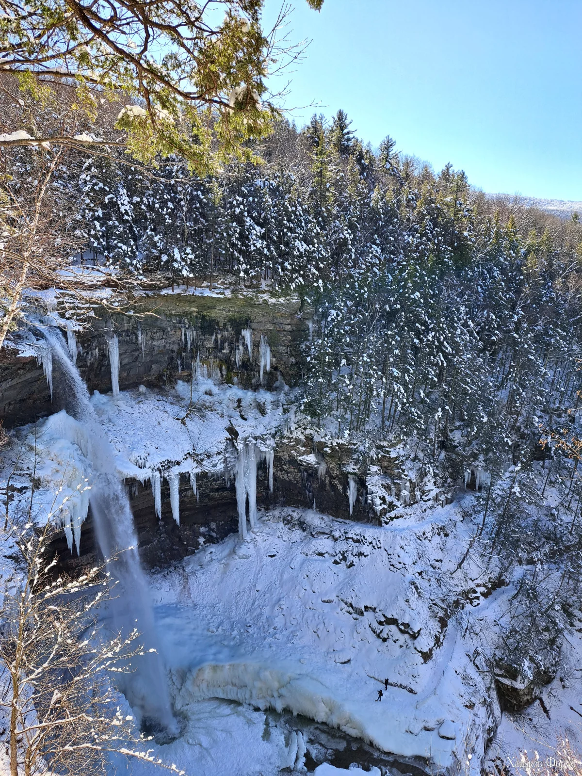 20240204_122431.jpg