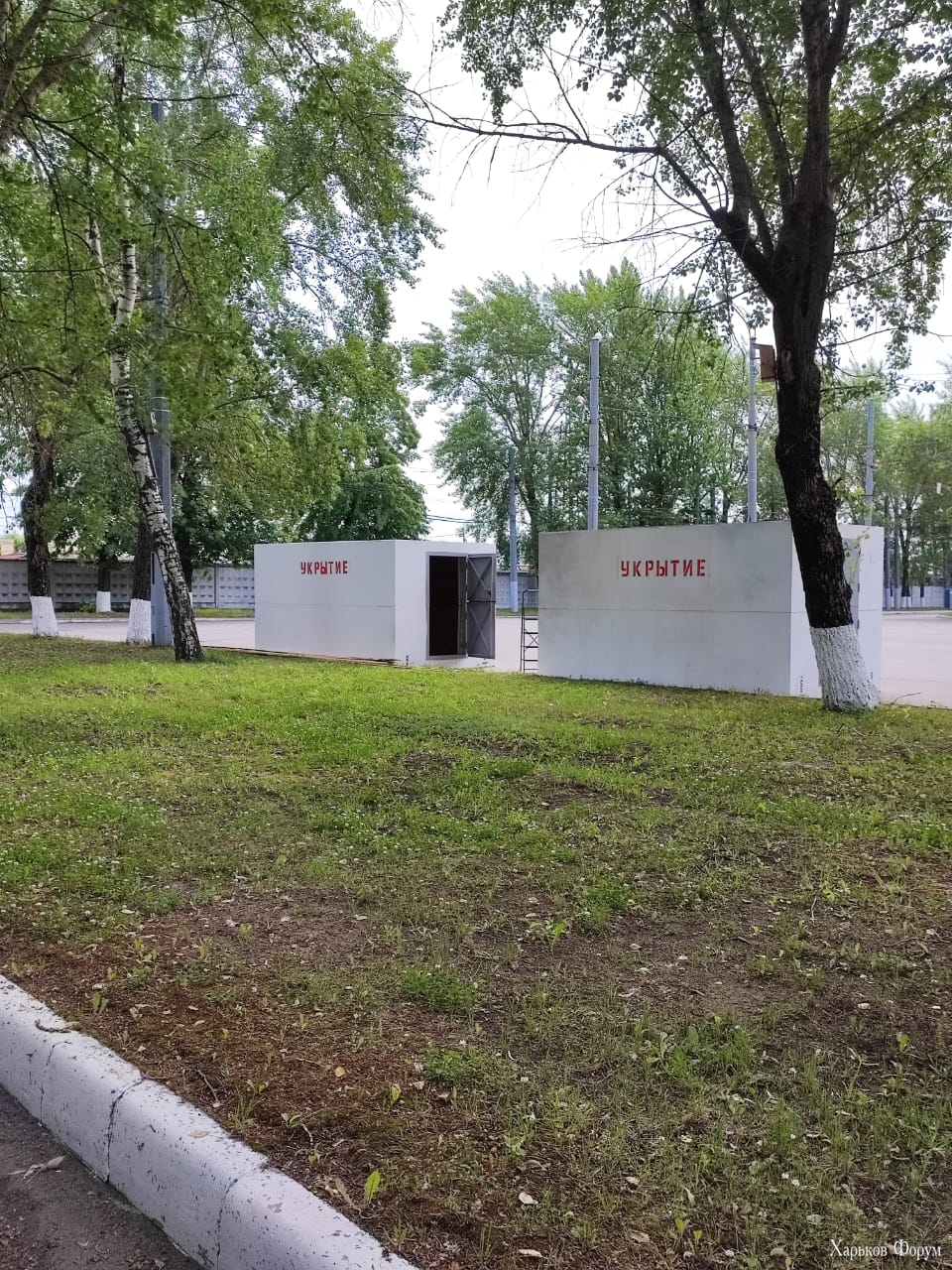 20240616_131408.jpg