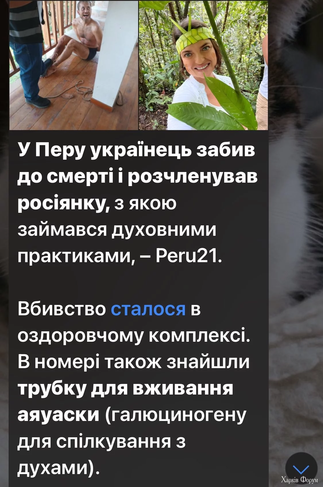 20240812_182704.jpg
