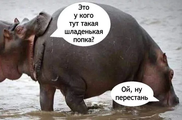 20240927_193847.webp