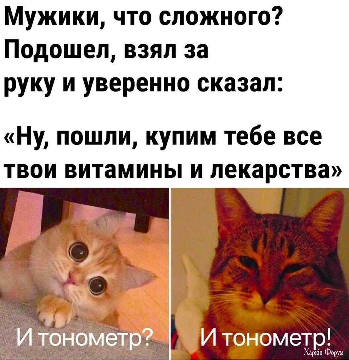 20241107_182209.webp