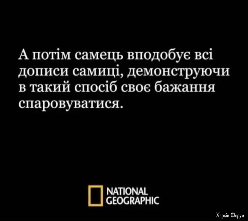 20241114_223521.webp