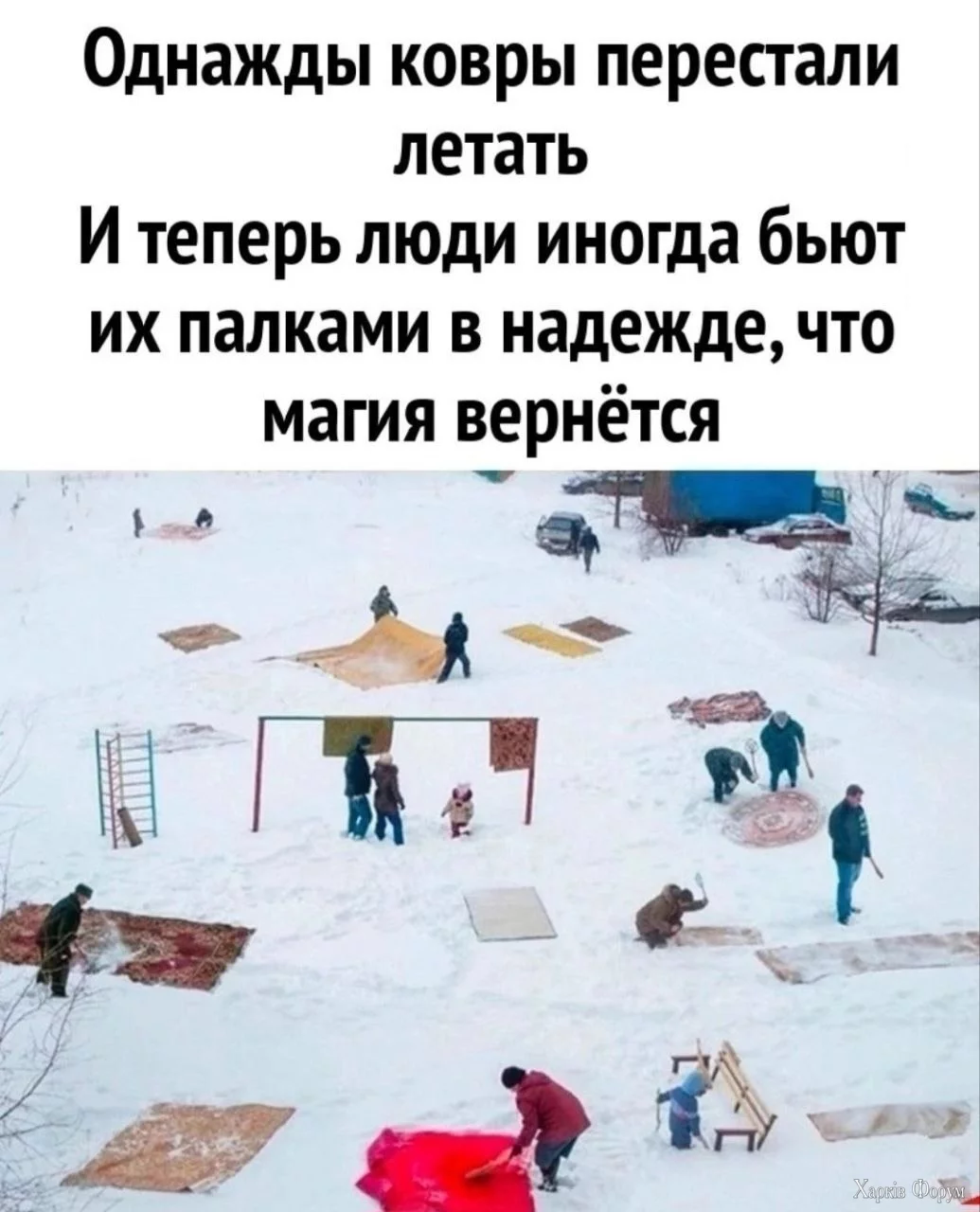 20241119_081842.webp