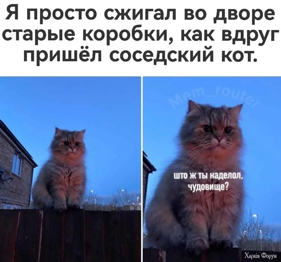 20241121_194603.webp