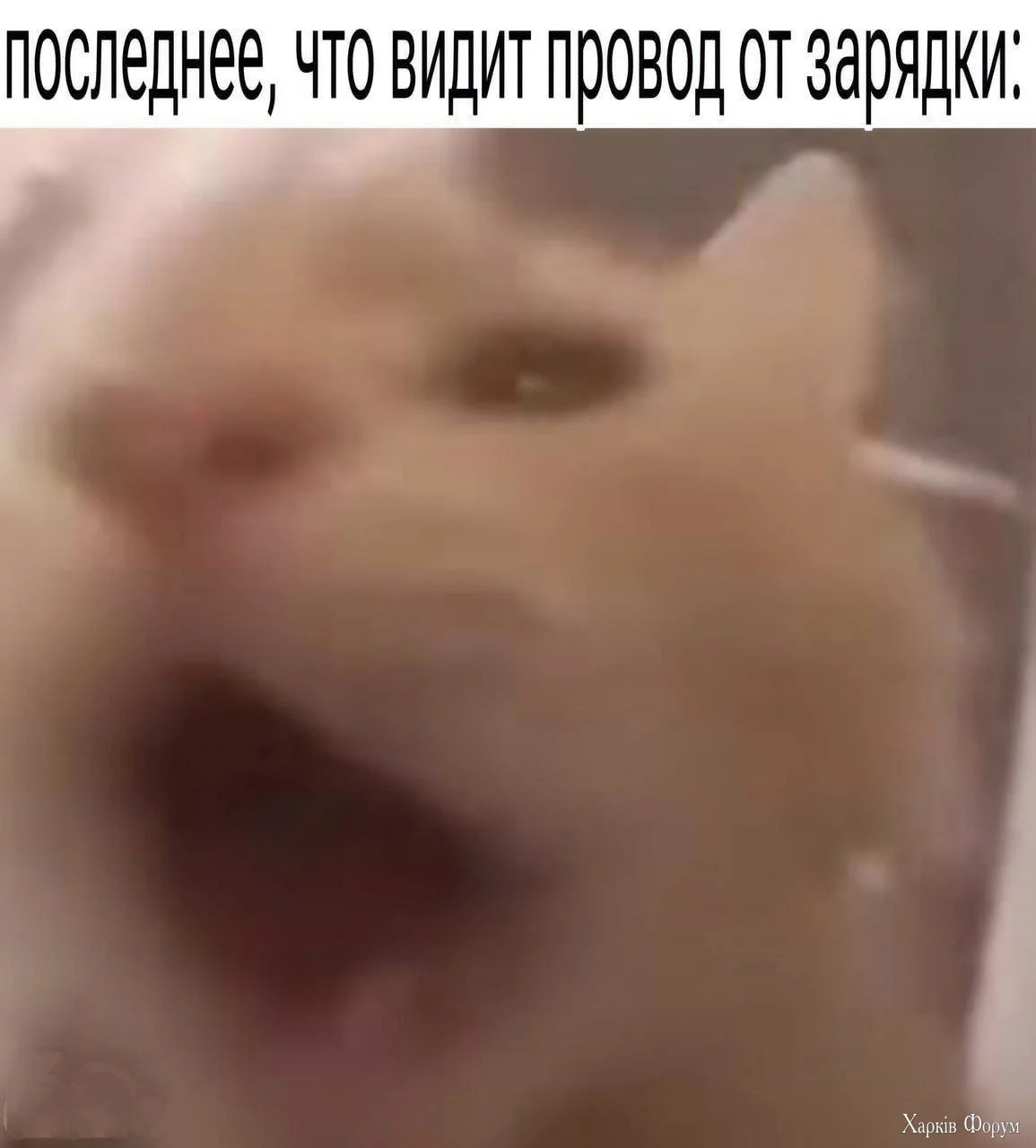 20241123_154326.webp