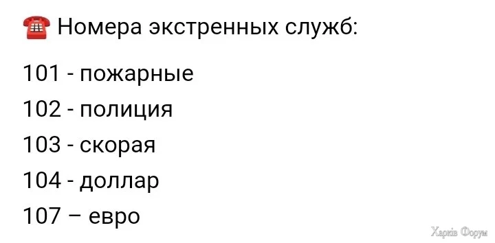 20241126_100623.webp