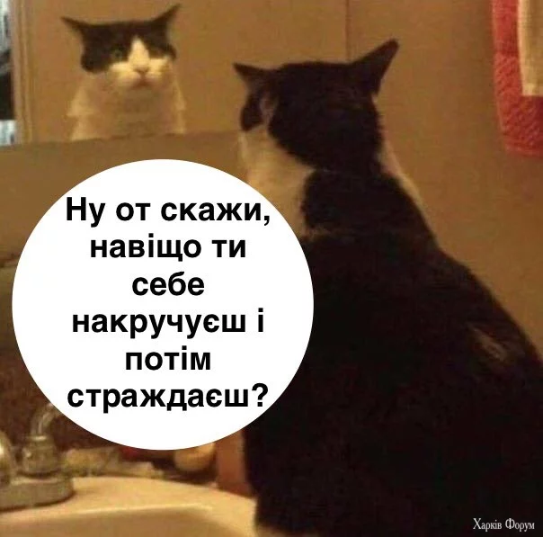 20241129_201245.webp