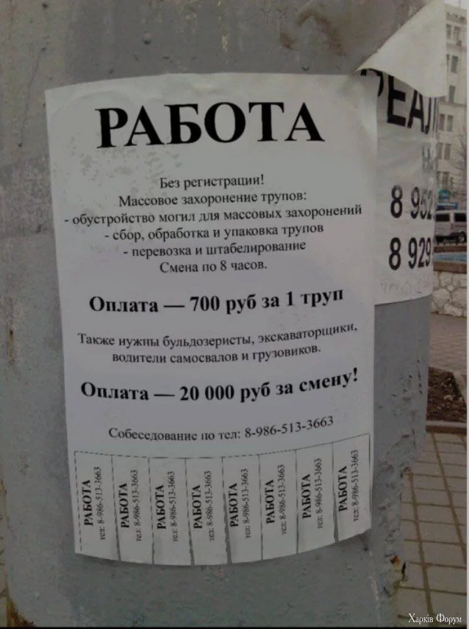 20241201_152123.webp