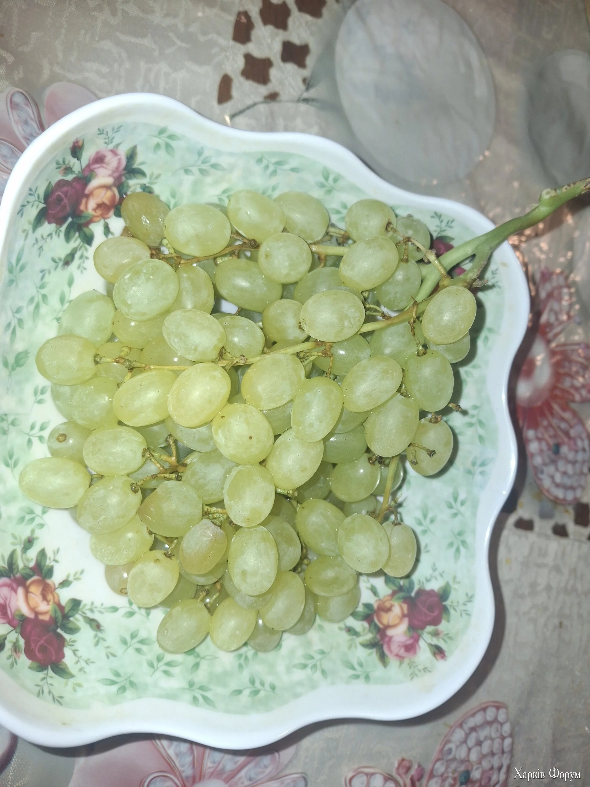 20241211_165826.webp