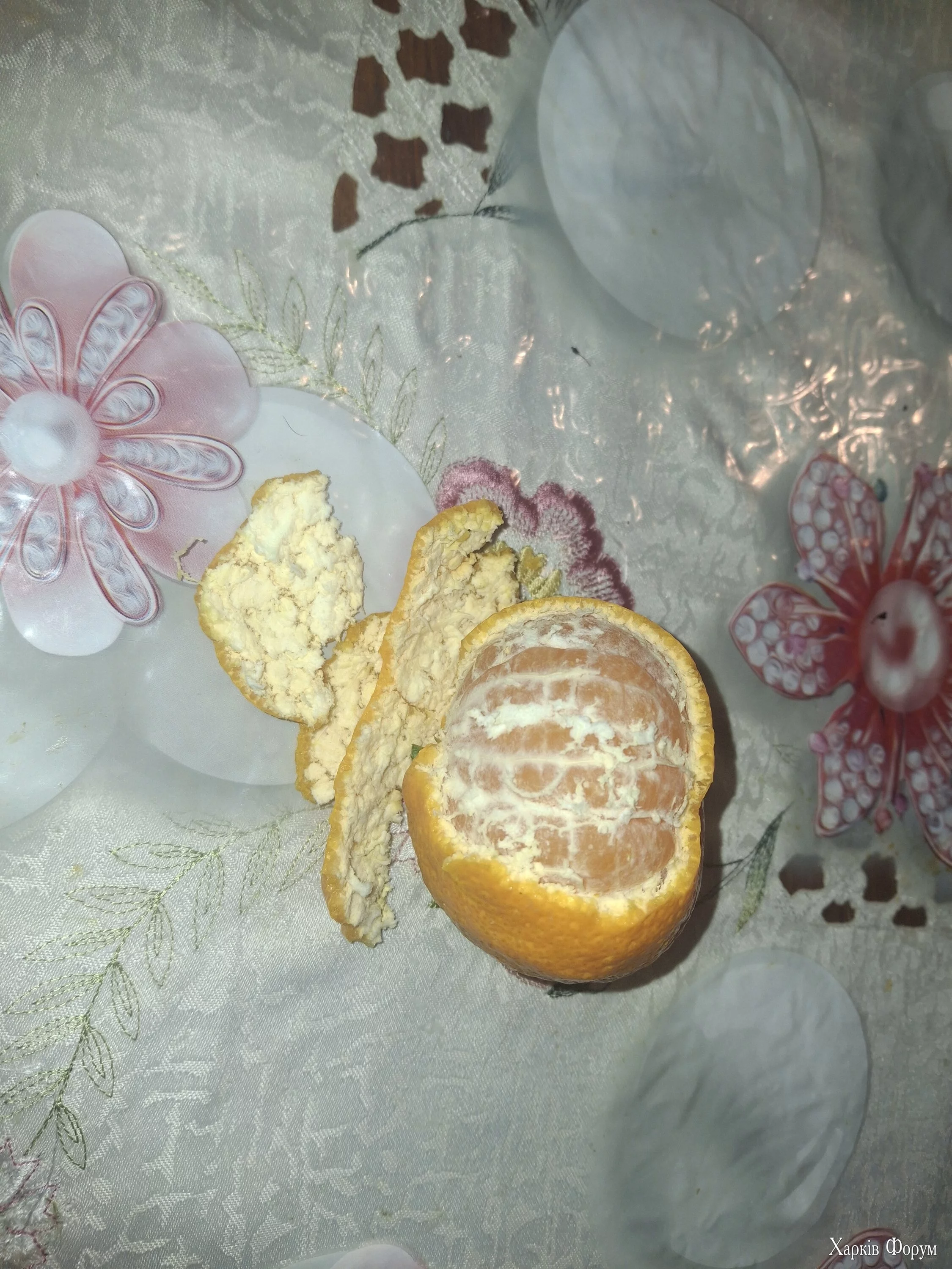 20241211_171505.webp