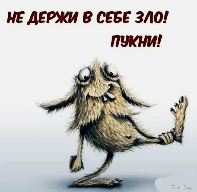 20241212_153531.webp